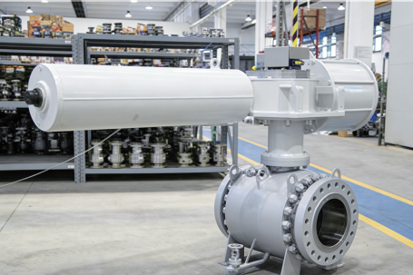 Automated System View 2